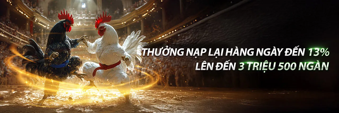 Sòng bạc trực tuyến ok365coach với trải nghiệm VIP